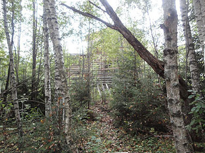 Дача  у леса в СНТ Тишинка, Наро-Фоминский район, Московская область